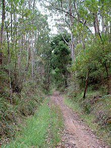 Antigua línea de ferrocarril de Colac a Beech Forest, que ahora es una ruta de senderismo  