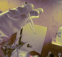 Berkelium-kohde, jota käytetään tennessiinin synteesiin, liuoksena.  