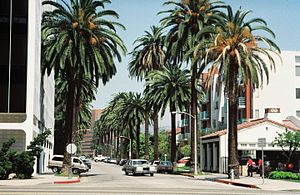 Aceasta este o stradă din Beverly Hills