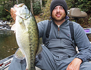 Un grande Spotted Bass catturato a Carter's Lake, Georgia, dalla guida professionista Louie Bartenfield