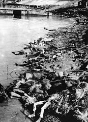 Bodies piled at the Yangtze River