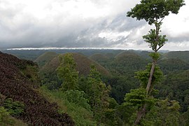 Bohol interior