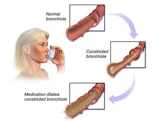Bronhodilatatori