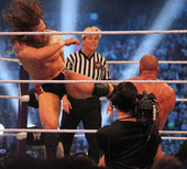 Bryan udførte "Ja!" spark til Triple H's bryst ved WrestleMania XXX  