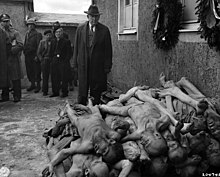 VS-senator Alben W. Barkley (D-Kentucky) kijkt toe na de bevrijding van Buchenwald. Barkley werd later vicepresident van de Verenigde Staten onder Harry S. Truman.  