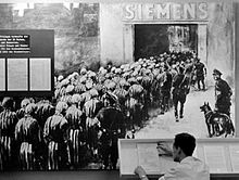 Kvinnliga fångar som går in i Siemens-fabriken för att utföra slavarbete, med SS-vakter i närheten.