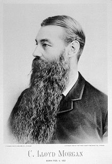 Lloyd Morgan