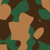 Um exemplo simples de camuflagem comum
