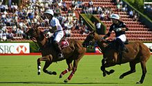 Campeonato Abierto de Polo de Argentina  