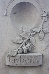 Řezba Tayberry na břehu řeky Tay v Perthu