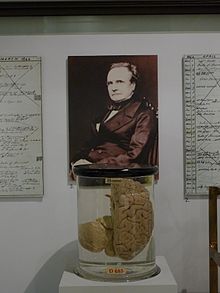 Il cervello di Charles Babbage