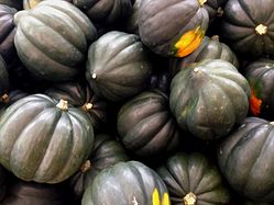 Ekollon squash