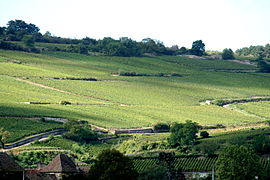 French wine region of the Côte de Beaune, Côte d'Or