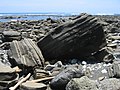 Beaches are interesting places to study geology,