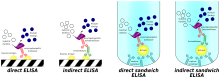 Different variants of the ELISA