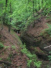 The Landgrafenschlucht near Eisenach with an outcrop of Rotliegend conglomerates