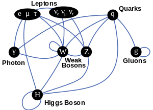 Die Elementarteilchen, aus denen das Universum aufgebaut ist. Sechs Leptonen und sechs Quarks machen den größten Teil der Materie aus; so bestehen beispielsweise die Protonen und Neutronen der Atomkerne aus Quarks, und das allgegenwärtige Elektron ist ein Lepton. Diese Teilchen wechselwirken über die in der mittleren Reihe dargestellten Eichbosonen, die jeweils einer bestimmten Art von Eichsymmetrie entsprechen. Es wird angenommen, dass das Higgs-Boson den Teilchen, mit denen es verbunden ist, Masse verleiht. Das Graviton, ein vermeintliches Eichboson für die Schwerkraft, ist nicht dargestellt.
