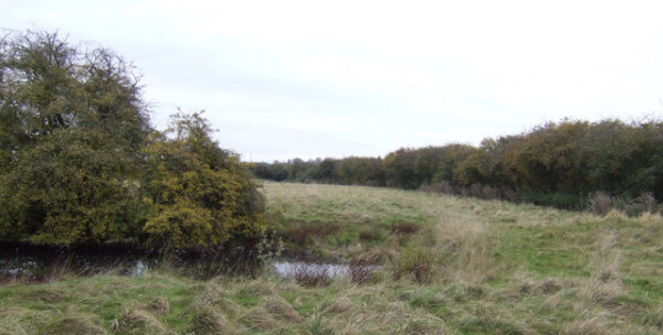Fenlands, patria del Gyrwas