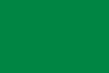 Libyens gamle flag under Muammar Qaddafis regime var blot et almindeligt grønt felt.