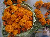 Ghirlande di calendule in preparazione per la decorazione.