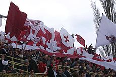 Navijači CFR Cluj v glavnih barvah ekipe: vijolični in beli.