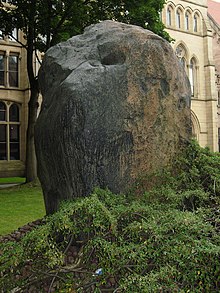 Foundling on the university campus