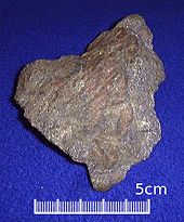 Gold Ore