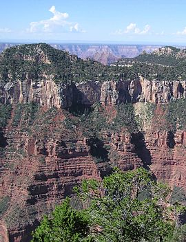 Další pohled na Grand Canyon