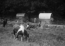 En lejr med walisiske romaer nær Swansea, 1953. (Billedets titel: sigøjnercamping.)