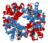 Een lintdiagram is een manier waarop biochemici de vorm van eiwitten beschrijven. Dit lintdiagram is van het eiwit hemoglobine, de rode stof in bloed. Het is verantwoordelijk voor het vervoer van zuurstof.  