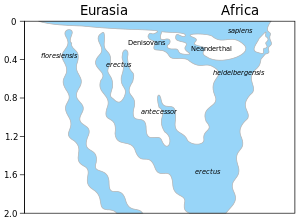 Un modèle de l'évolution du genre Homo au cours des 2 derniers millions d'années (axe vertical). L'expansion rapide "hors d'Afrique" de H. sapiens est indiquée en haut du diagramme, avec un mélange indiqué avec les Néandertaliens, les Denisoviens et des hominines africains archaïques non spécifiés.