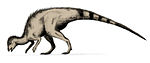 Hypsilophodon .