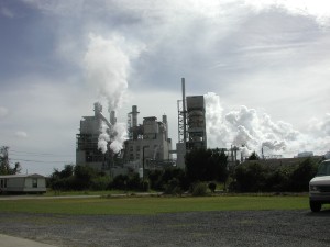 International Paper est le plus grand fabricant de pâte et de papier au monde