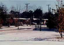 Sne er meget usædvanligt i Florida, men der er faldet sne i alle større byer i Florida mindst én gang. Der falder sne nogle gange i det nordlige Florida.