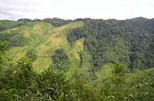 Former slash-and-burn agriculture in today's small UNESCO biosphere reserve Nokrek in the Garo Mountains (2004)