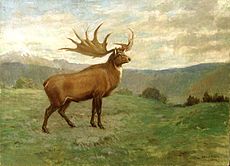 Restaurování od Charlese R. Knighta