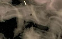 Play media file Animation of a comet orbit