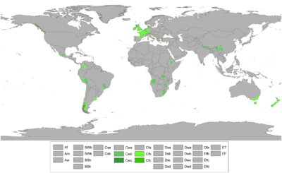 Wereldkaart met oceanische klimaatzones