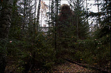 Leshy v Rusku