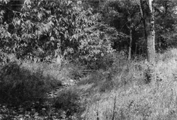 Stedet for Marais des Cygnes-massakren i 1858, i Linn County, Kansas