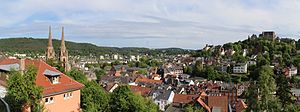 Panorama of the core city (spring 2014)