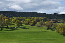 Valley to the east of Noyant-d'Allier.