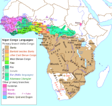 Mapa que muestra la localización de los subgrupos del Níger-Congo y las lenguas individuales importantes de esa familia