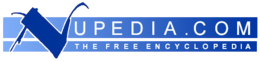 Wikipedia si è sviluppata originariamente da un altro progetto di enciclopedia, Nupedia.