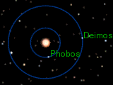 Orbites de Phobos et Deimos (à l'échelle), vues du dessus de Mars