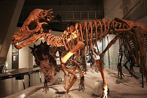 Supporto scheletrico di Pachycephalosaurus
