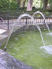 A jet of water from a fountain directed upwards at an angle deforms into a parabola on earth under the influence of gravity.