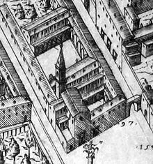 View of the plant from above