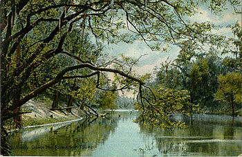 Il fiume Suwanee