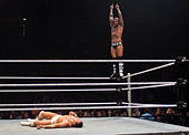Punk oddając hołd "Macho Man" Randy'emu dzikusowi przed wykonaniem zrzutu z łokcia nurkowego na Alberto Del Rio